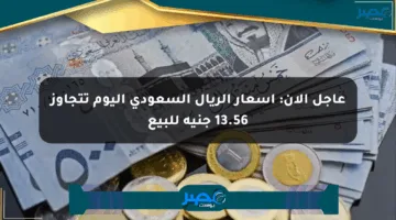 عاجل الآن: أسعار الريال السعودي اليوم تتجاوز 13.56 جنيه للبيع